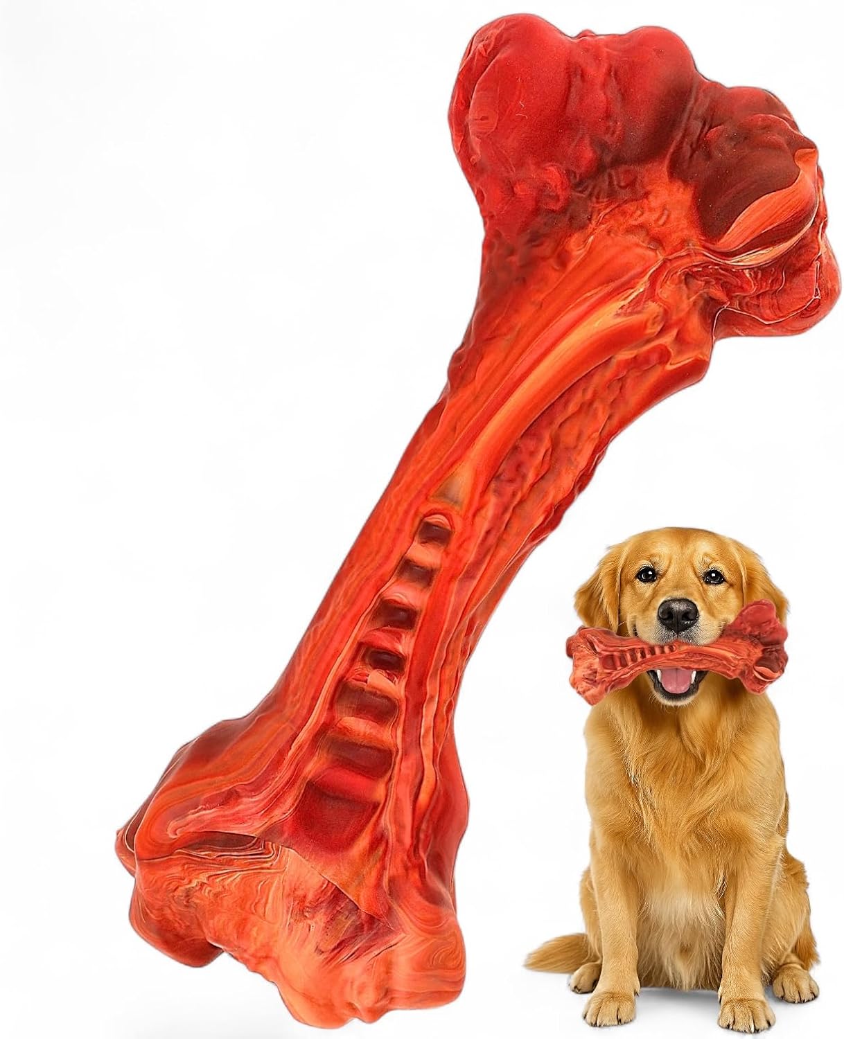 A Golden Retriever holding a large red natural rubber chew bone toy