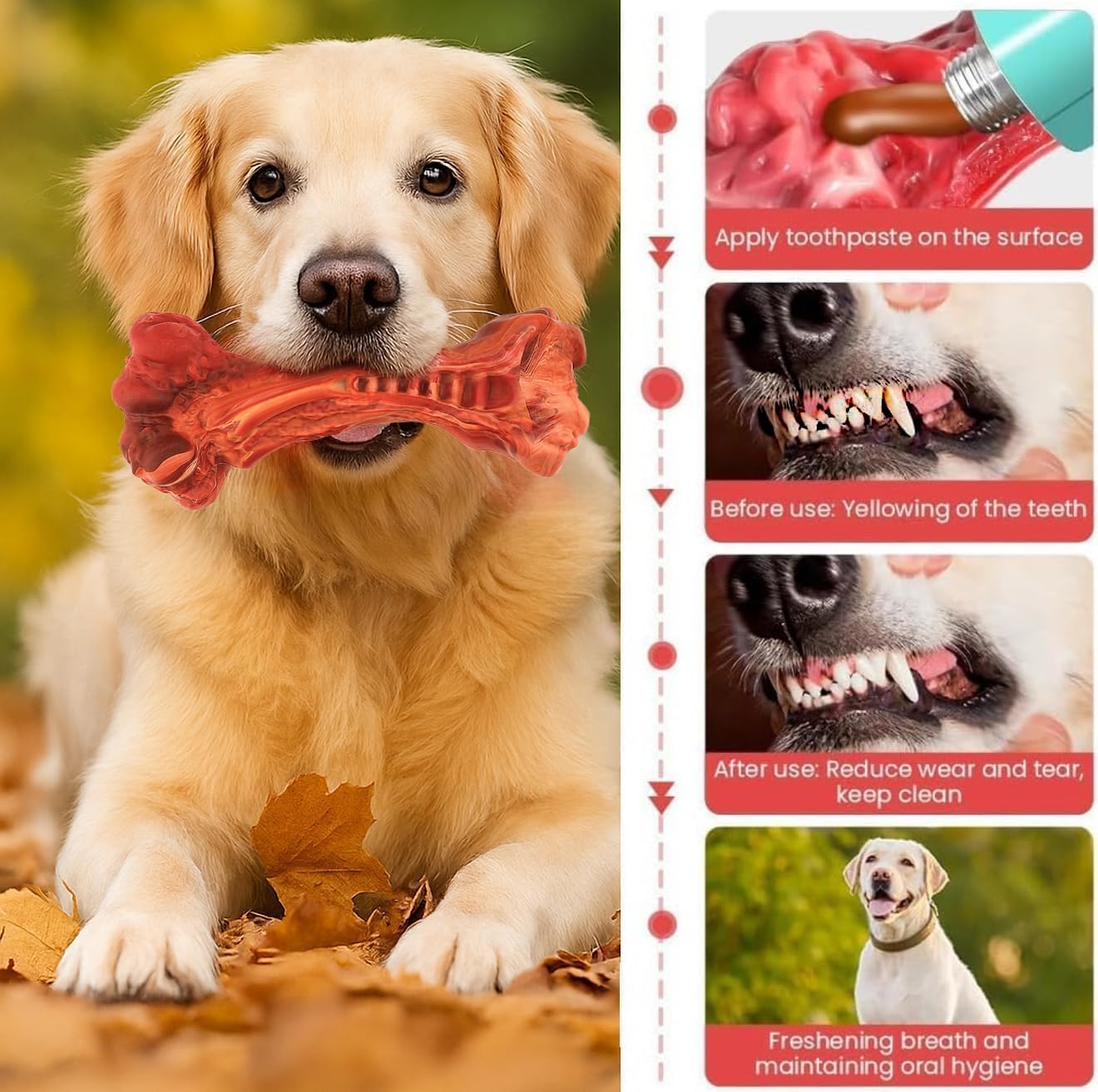 Dog Chew Toy - Natural Rubber Bone with Beef Flavor for Medium & Large Dogs - Dental Chew Toy, Cleans Teeth, Satisfies Chewing Instinct view 6